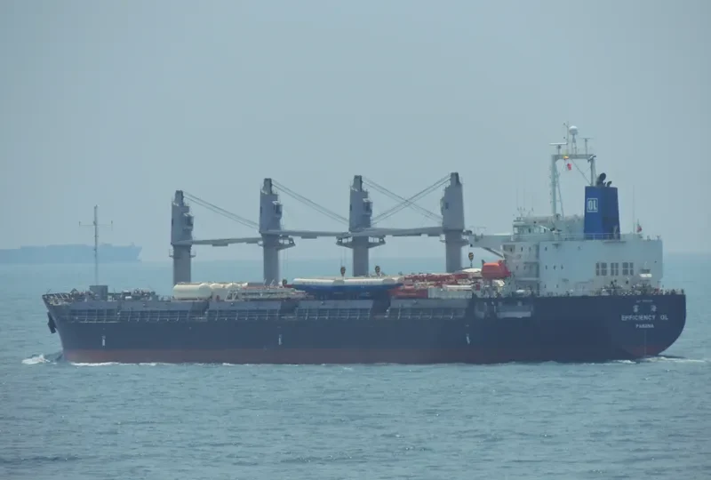 EFFICIENCY OL Bulk Carrier IMO 9491666 photo 10