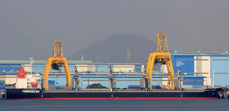 ROYAL HARMONY Bulk Carrier IMO 9491678 photo 5