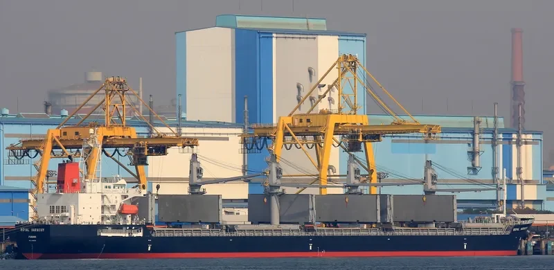 ROYAL HARMONY Bulk Carrier IMO 9491678 photo 6