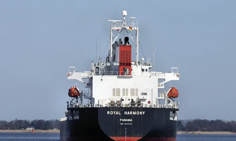 ROYAL HARMONY Bulk Carrier IMO 9491678 photo 7