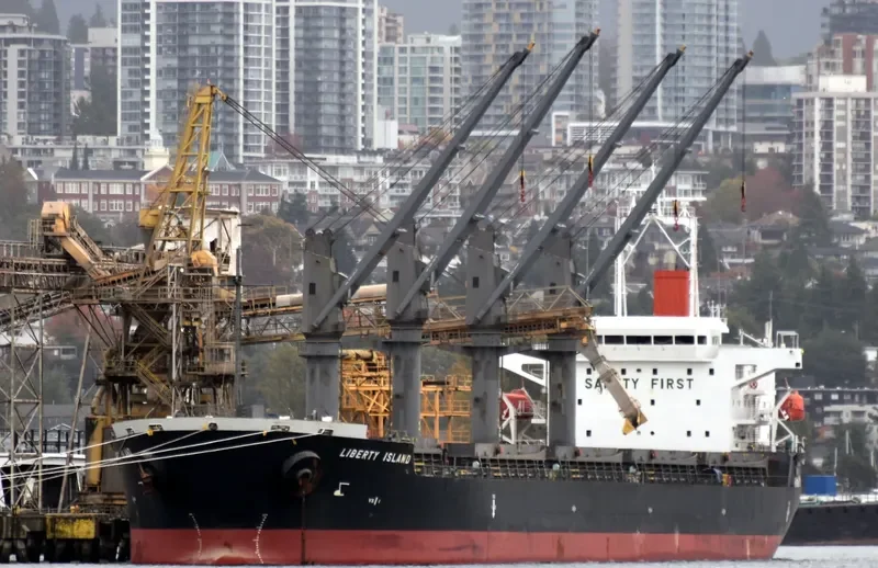 WOOYANG QUEEN Bulk Carrier IMO 9491680