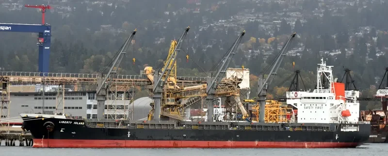 WOOYANG QUEEN Bulk Carrier IMO 9491680 photo 2
