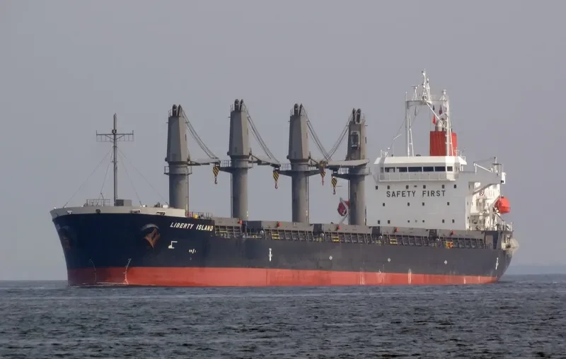 WOOYANG QUEEN Bulk Carrier IMO 9491680 photo 3