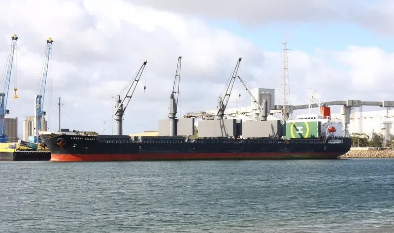 WOOYANG QUEEN Bulk Carrier IMO 9491680 photo 4