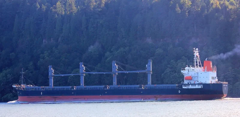 WOOYANG QUEEN Bulk Carrier IMO 9491680 photo 5