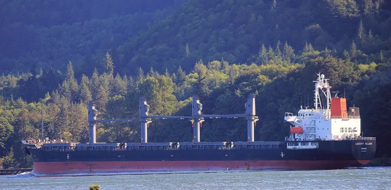 WOOYANG QUEEN Bulk Carrier IMO 9491680 photo 6