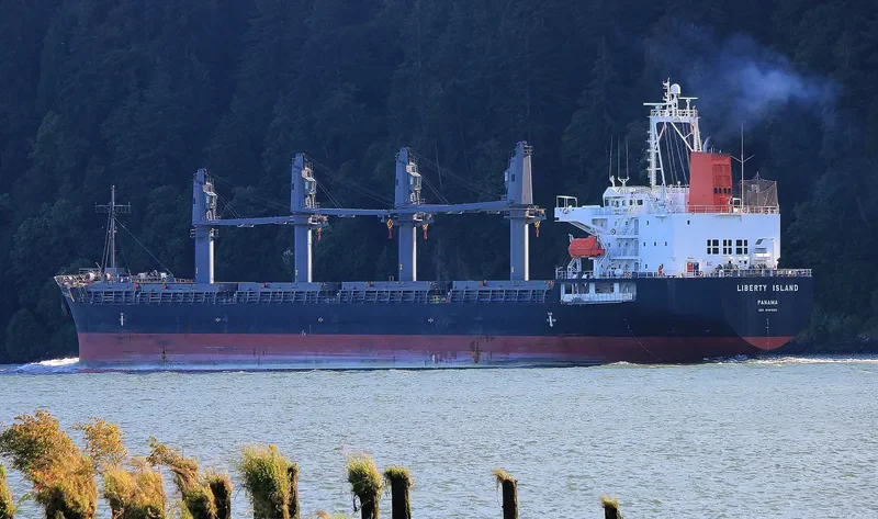 WOOYANG QUEEN Bulk Carrier IMO 9491680 photo 7