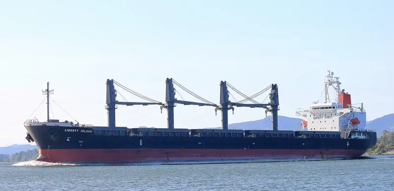 WOOYANG QUEEN Bulk Carrier IMO 9491680 photo 8