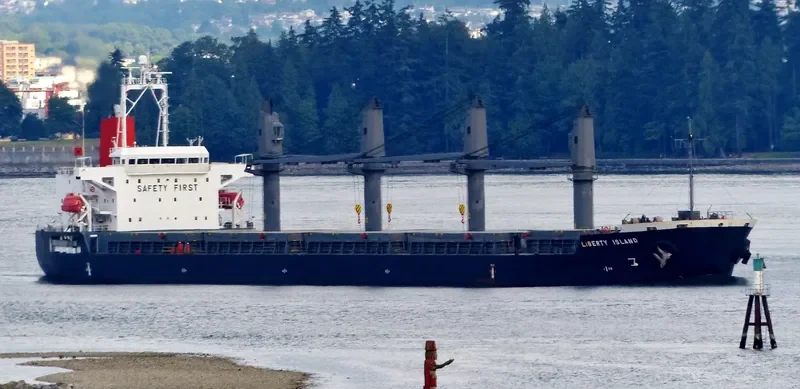 WOOYANG QUEEN Bulk Carrier IMO 9491680 photo 9