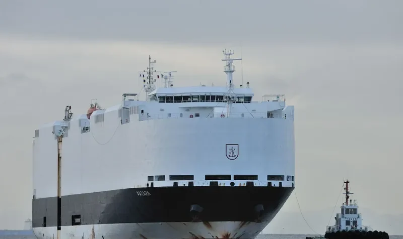 PATARA General Cargo IMO 9491898 photo 10