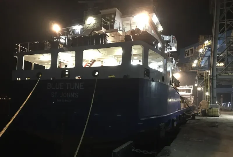 BLUE TUNE General Cargo IMO 9491927