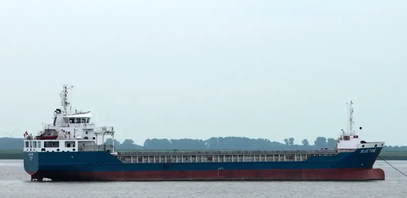BLUE TUNE General Cargo IMO 9491927 photo 3