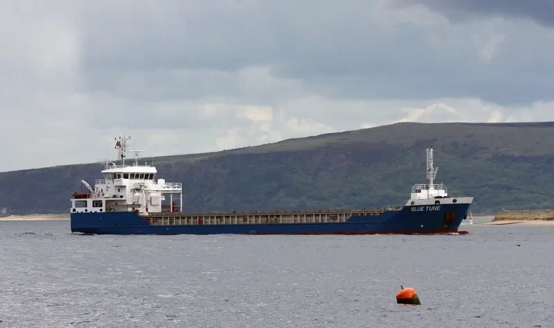 BLUE TUNE General Cargo IMO 9491927 photo 8