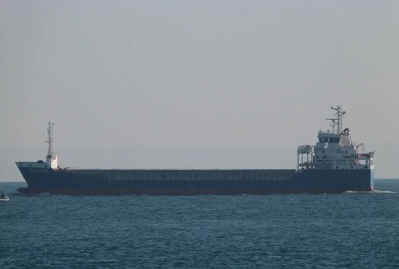 BLUE TUNE General Cargo IMO 9491927 photo 10