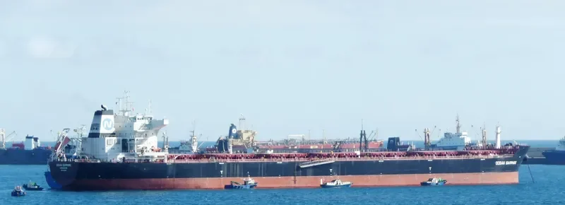 OCEAN SAPPHIRE Bulk Carrier IMO 9491989