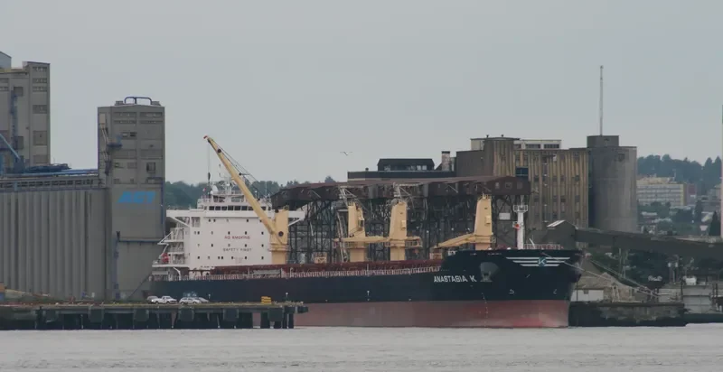 ANASTASIA K Bulk Carrier IMO 9492074 photo 2