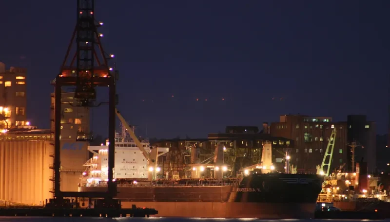 ANASTASIA K Bulk Carrier IMO 9492074 photo 3