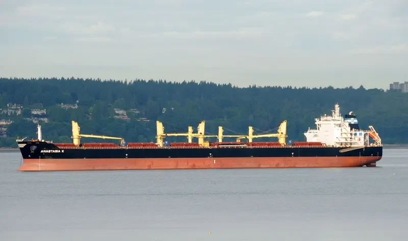 ANASTASIA K Bulk Carrier IMO 9492074 photo 4