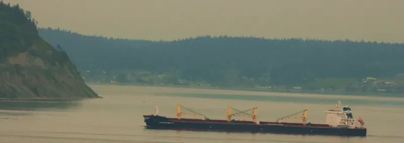 ANASTASIA K Bulk Carrier IMO 9492074 photo 5
