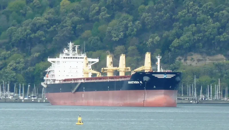 ANASTASIA K Bulk Carrier IMO 9492074 photo 6