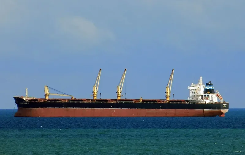 ANASTASIA K Bulk Carrier IMO 9492074 photo 8