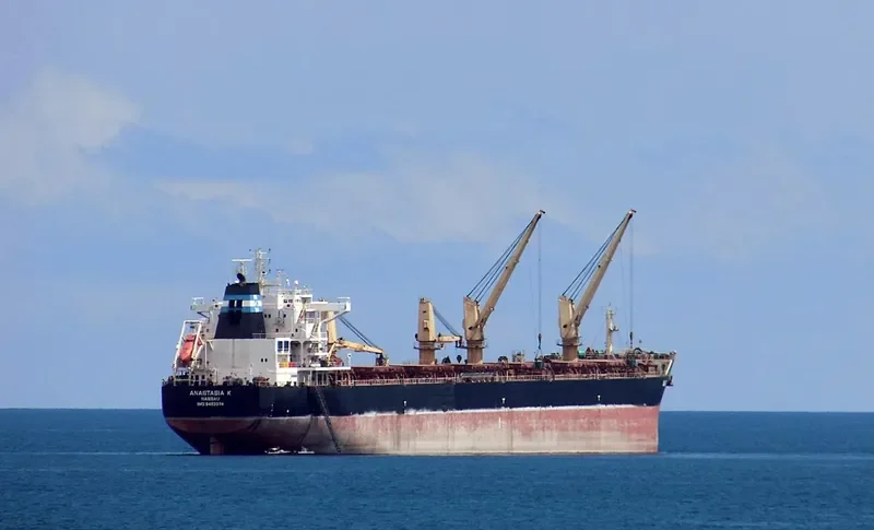 ANASTASIA K Bulk Carrier IMO 9492074 photo 9