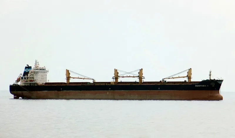 ANASTASIA K Bulk Carrier IMO 9492074 photo 10