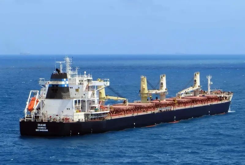 DIANE Bulk Carrier IMO 9492086 photo 3