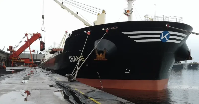 DIANE Bulk Carrier IMO 9492086 photo 5
