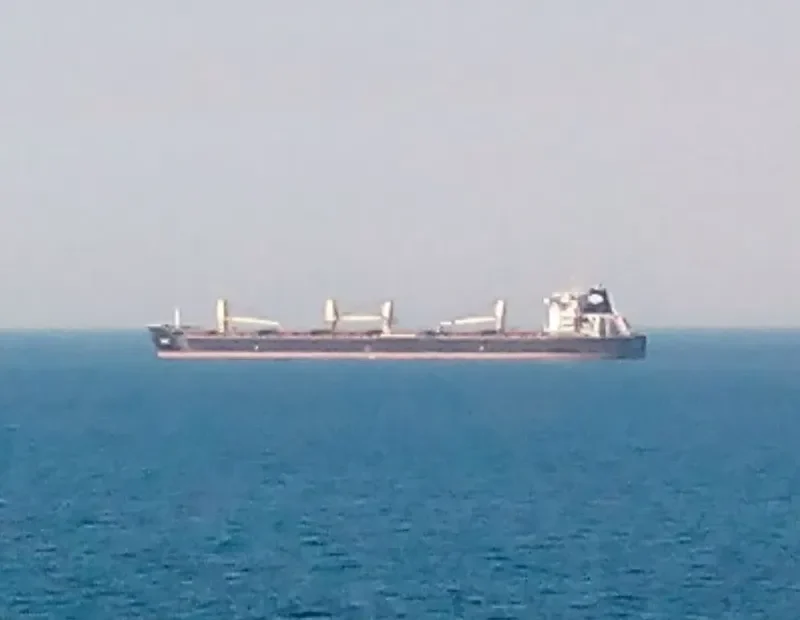 DIANE Bulk Carrier IMO 9492086 photo 6