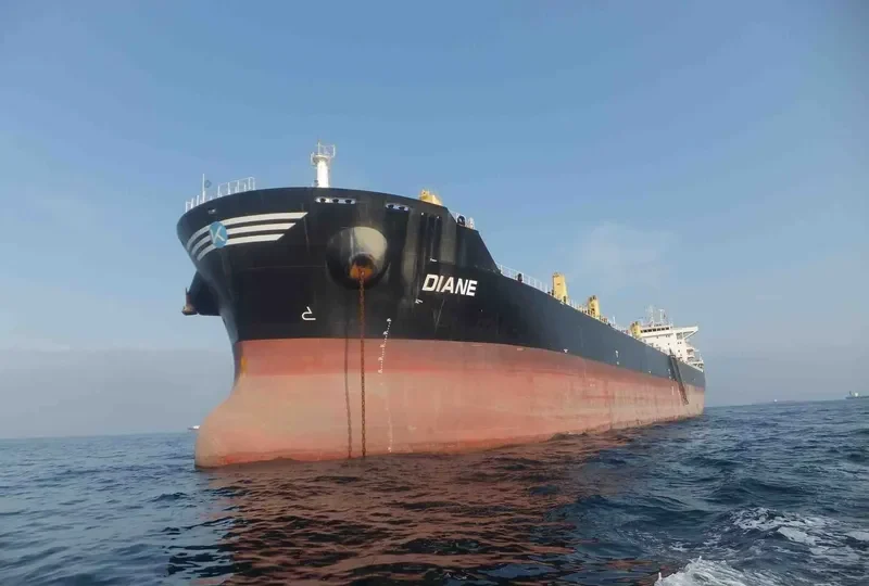 DIANE Bulk Carrier IMO 9492086 photo 9