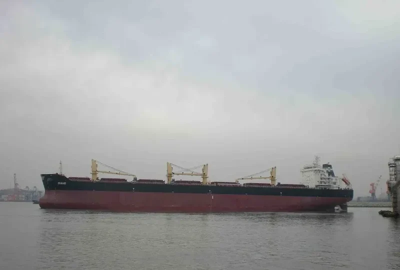 DIANE Bulk Carrier IMO 9492086 photo 10