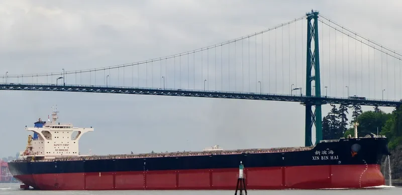 XIN BIN HAI Bulk Carrier IMO 9492098 photo 2