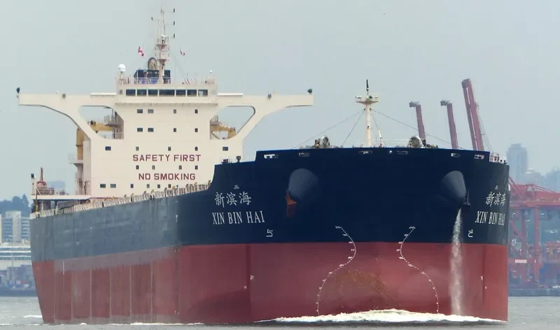 XIN BIN HAI Bulk Carrier IMO 9492098 photo 3