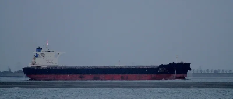 XIN BIN HAI Bulk Carrier IMO 9492098 photo 4