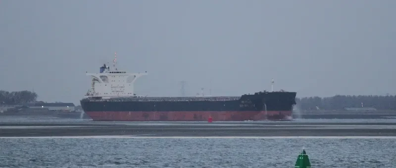 XIN BIN HAI Bulk Carrier IMO 9492098 photo 5