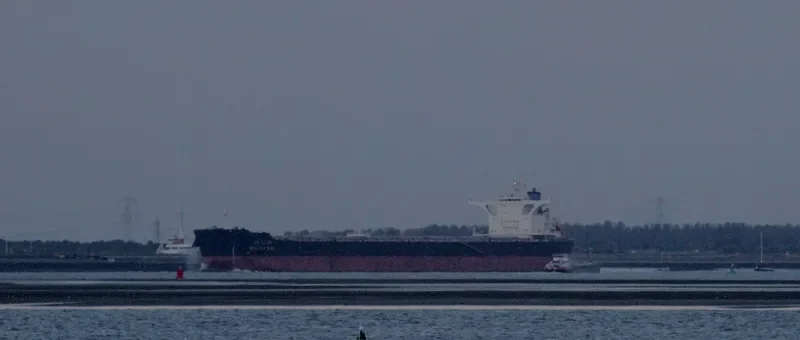XIN BIN HAI Bulk Carrier IMO 9492098 photo 7