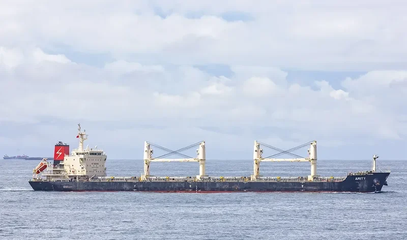 AMITY Bulk Carrier IMO 9492103 photo 3