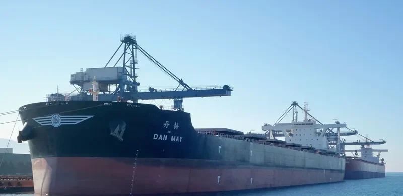 DAN MAY Bulk Carrier IMO 9492218 photo 3