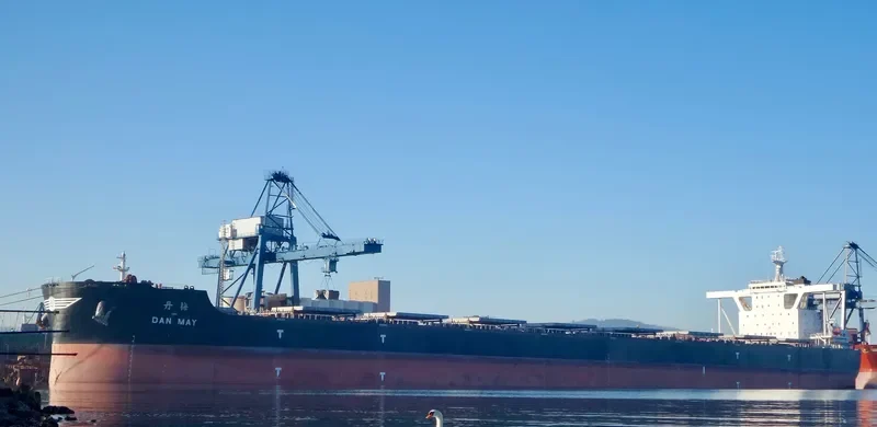 DAN MAY Bulk Carrier IMO 9492218 photo 4