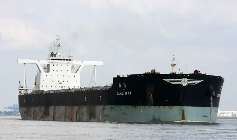 QING MAY Bulk Carrier IMO 9492220 photo 4