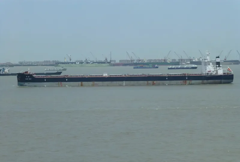 QING MAY Bulk Carrier IMO 9492220 photo 6