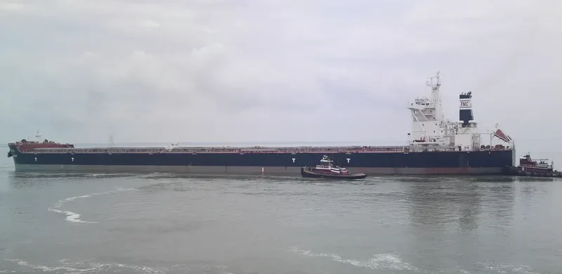 QING MAY Bulk Carrier IMO 9492220 photo 9