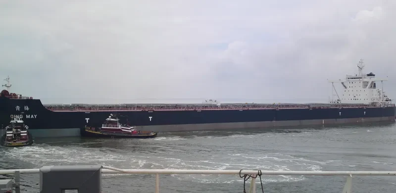 QING MAY Bulk Carrier IMO 9492220 photo 10