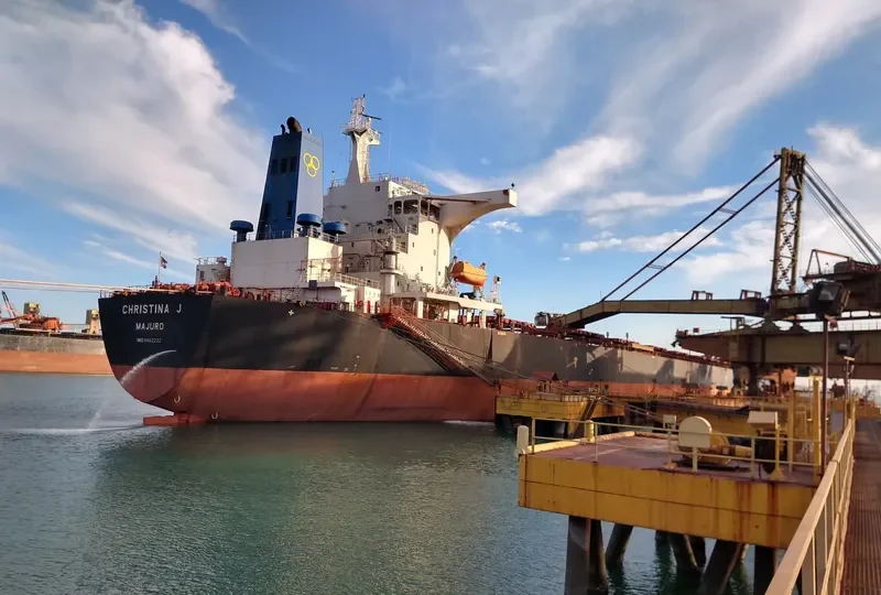 CHRISTINA J Bulk Carrier IMO 9492232 photo 3