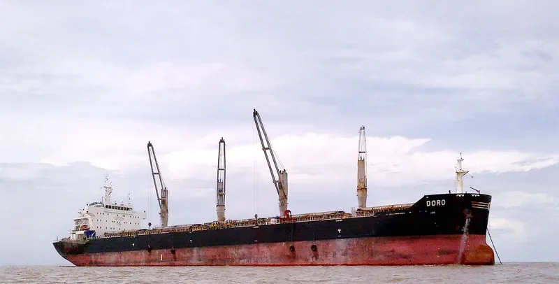 DORO Bulk Carrier IMO 9492397