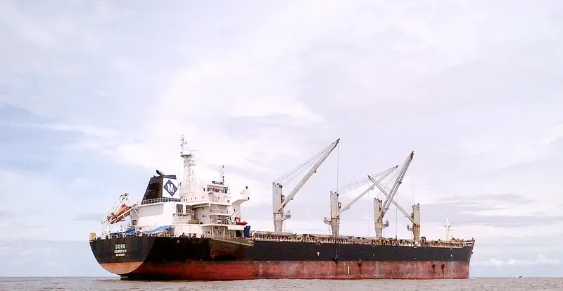 DORO Bulk Carrier IMO 9492397 photo 2