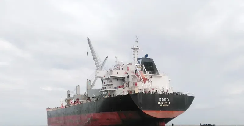 DORO Bulk Carrier IMO 9492397 photo 3