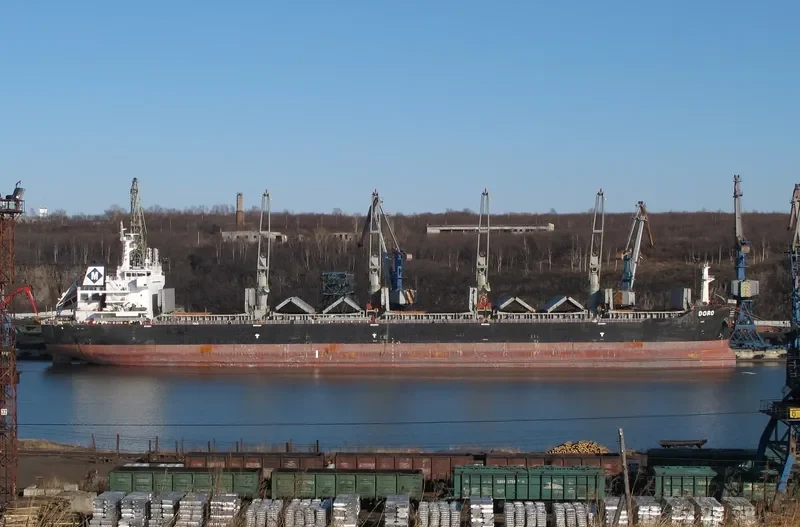 DORO Bulk Carrier IMO 9492397 photo 7
