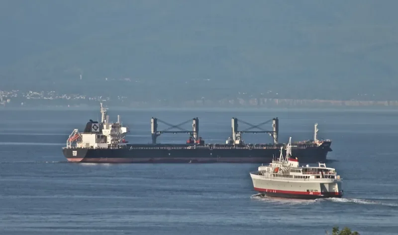 DORO Bulk Carrier IMO 9492397 photo 8